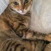 ヒメ日記 2025/12/25 15:30 投稿 みなみ 妻天 京橋店