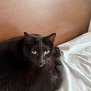 ヒメ日記 2026/01/15 07:47 投稿 みなみ 妻天 京橋店