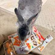 ヒメ日記 2026/01/15 15:54 投稿 みなみ 妻天 京橋店