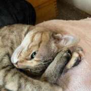 ヒメ日記 2026/01/16 16:39 投稿 みなみ 妻天 京橋店