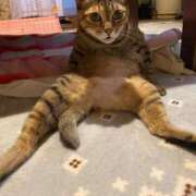 ヒメ日記 2026/01/25 16:13 投稿 みなみ 妻天 京橋店