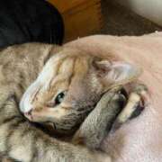 ヒメ日記 2026/01/29 07:58 投稿 みなみ 妻天 京橋店