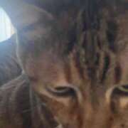 ヒメ日記 2026/02/02 13:59 投稿 みなみ 妻天 京橋店