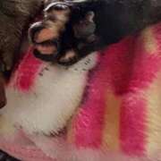 ヒメ日記 2026/02/07 21:02 投稿 みなみ 妻天 京橋店