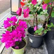 ヒメ日記 2026/07/09 07:34 投稿 みなみ 妻天 京橋店