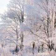 ヒメ日記 2024/12/14 05:00 投稿 ★桃瀬　さき★ デリイズム