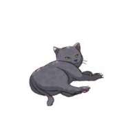 ヒメ日記 2025/01/09 02:25 投稿 ★桃瀬　さき★ デリイズム