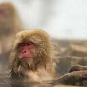 ヒメ日記 2024/12/21 07:16 投稿 ★竹下　詩織★ デリイズム