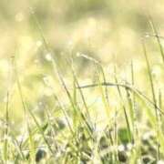 ヒメ日記 2025/04/20 06:45 投稿 ★竹下　詩織★ デリイズム