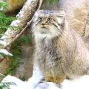 ヒメ日記 2025/04/23 12:30 投稿 ★竹下　詩織★ デリイズム