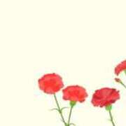 ヒメ日記 2025/05/11 09:15 投稿 ★竹下　詩織★ デリイズム