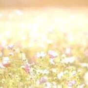 ヒメ日記 2025/05/21 09:15 投稿 ★竹下　詩織★ デリイズム