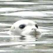 ヒメ日記 2025/08/07 12:45 投稿 ★竹下　詩織★ デリイズム