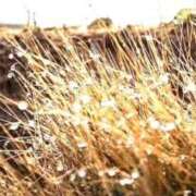 ヒメ日記 2025/10/08 06:45 投稿 ★竹下　詩織★ デリイズム