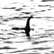 ヒメ日記 2025/11/12 12:31 投稿 ★竹下　詩織★ デリイズム