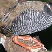 ヒメ日記 2025/11/13 12:30 投稿 ★竹下　詩織★ デリイズム