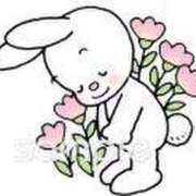 ヒメ日記 2025/12/11 01:53 投稿 ★竹下　詩織★ デリイズム