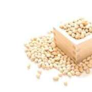 ヒメ日記 2026/02/03 09:15 投稿 ★竹下　詩織★ デリイズム