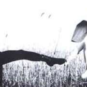 ヒメ日記 2026/02/24 12:32 投稿 ★竹下　詩織★ デリイズム