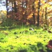 ヒメ日記 2026/03/05 09:15 投稿 ★竹下　詩織★ デリイズム