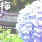ヒメ日記 2026/06/11 09:15 投稿 ★竹下　詩織★ デリイズム