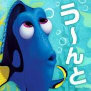 ヒメ日記 2024/12/20 08:02 投稿 ★宮里 みお★ デリイズム