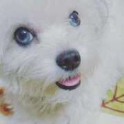 ヒメ日記 2025/04/01 07:08 投稿 ★宮里 みお★ デリイズム