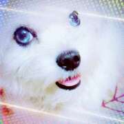 ヒメ日記 2025/06/16 07:06 投稿 ★宮里 みお★ デリイズム