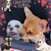 ヒメ日記 2025/06/19 20:01 投稿 ★宮里 みお★ デリイズム