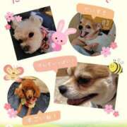 ヒメ日記 2025/07/31 07:37 投稿 ★宮里 みお★ デリイズム