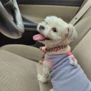 ヒメ日記 2025/08/26 13:38 投稿 ★宮里 みお★ デリイズム