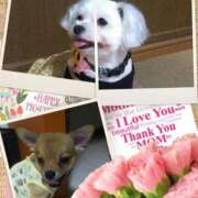 ヒメ日記 2025/08/27 13:01 投稿 ★宮里 みお★ デリイズム