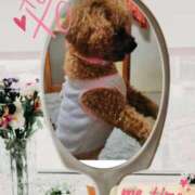 ヒメ日記 2025/09/30 07:03 投稿 ★宮里 みお★ デリイズム