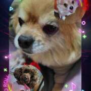 ヒメ日記 2026/01/05 10:19 投稿 ★宮里 みお★ デリイズム