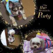 ヒメ日記 2026/01/11 05:32 投稿 ★宮里 みお★ デリイズム