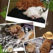 ヒメ日記 2026/02/08 12:47 投稿 ★宮里 みお★ デリイズム