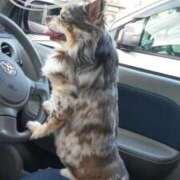 ヒメ日記 2026/02/18 18:30 投稿 ★宮里 みお★ デリイズム