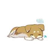 ヒメ日記 2026/02/24 03:09 投稿 ★宮里 みお★ デリイズム