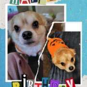 ヒメ日記 2026/03/04 02:57 投稿 ★宮里 みお★ デリイズム