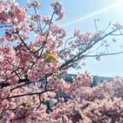 ヒメ日記 2026/04/17 10:16 投稿 新井　優 ドクトル・ストレッチ