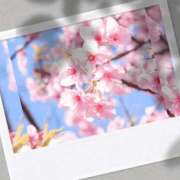 ヒメ日記 2026/04/02 14:49 投稿 ゆかり 奥様の実話 なんば店