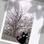 ヒメ日記 2026/04/05 15:05 投稿 ゆかり 奥様の実話 なんば店