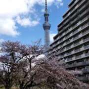 ゆい 縛っていただきました MASK（マスク）