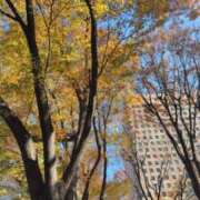 ゆい 季節が過ぎるのは早いですね MASK（マスク）