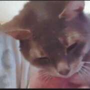 ヒメ日記 2026/01/28 08:44 投稿 ゆい MASK（マスク）