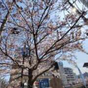 ヒメ日記 2026/03/24 23:29 投稿 ゆい MASK（マスク）