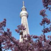 ヒメ日記 2025/04/03 22:02 投稿 うた 丸妻 横浜本店