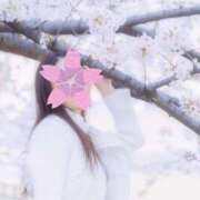 ヒメ日記 2025/04/12 09:00 投稿 南條(なんじょう) Ageha（あげは）