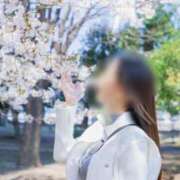 ヒメ日記 2025/04/12 17:30 投稿 南條(なんじょう) Ageha（あげは）