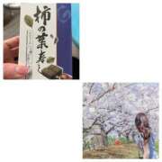 ヒメ日記 2025/04/13 12:15 投稿 南條(なんじょう) Ageha（あげは）